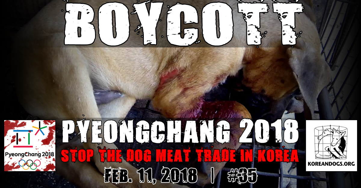 https://koreandogs.org/thunderclap-boycott-pc2018/?utm_source=sendinblue&utm_campaign=Few_more_actions_for_the_Korean_dogs_before_the_2017_is_over&utm_medium=email