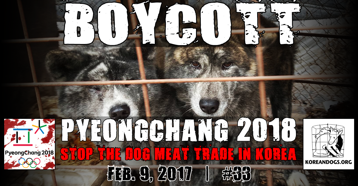 Thunderclap – “Boycott PyeongChang 2018 Campaign”!