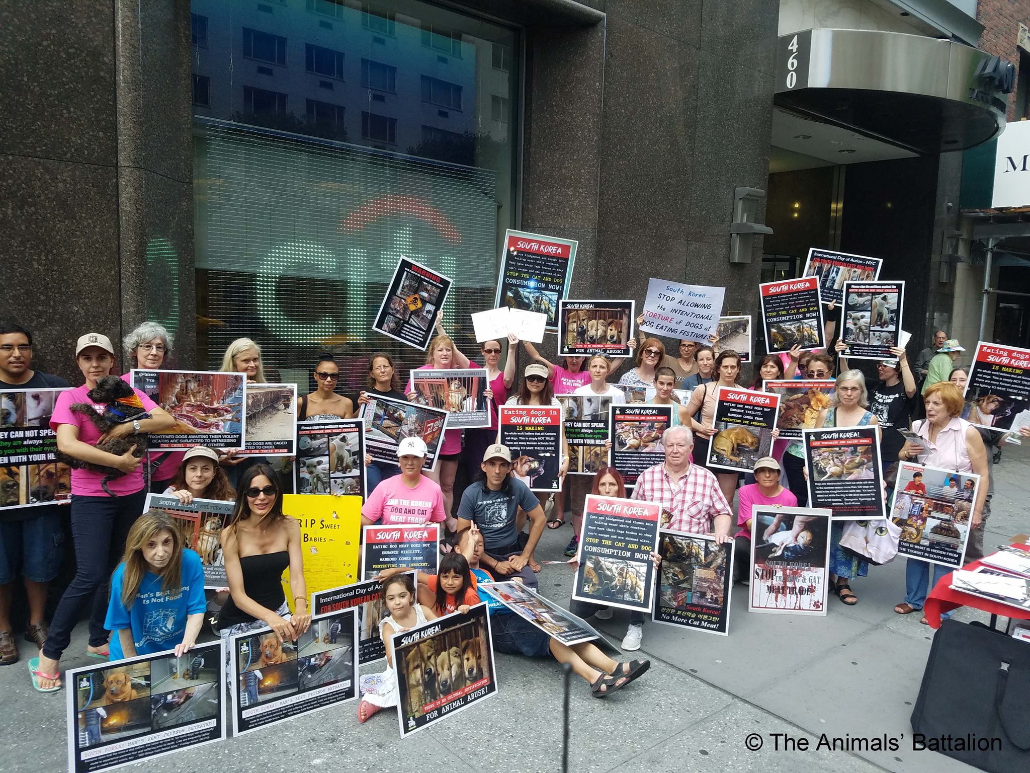 The Animals’ Battalion 2017 ‘Boknal’ Demonstrations in New York