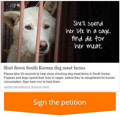 HELP SHUT DOWN SHOCKING ‘MEAT DOG’ FARMS IN SOUTH KOREA