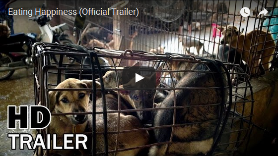 Stop the Yulin Dog Meat Festival!