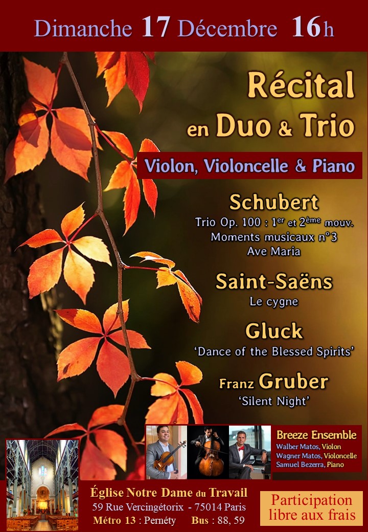Récital en Duo & Trio Violon, Violoncelle & Piano