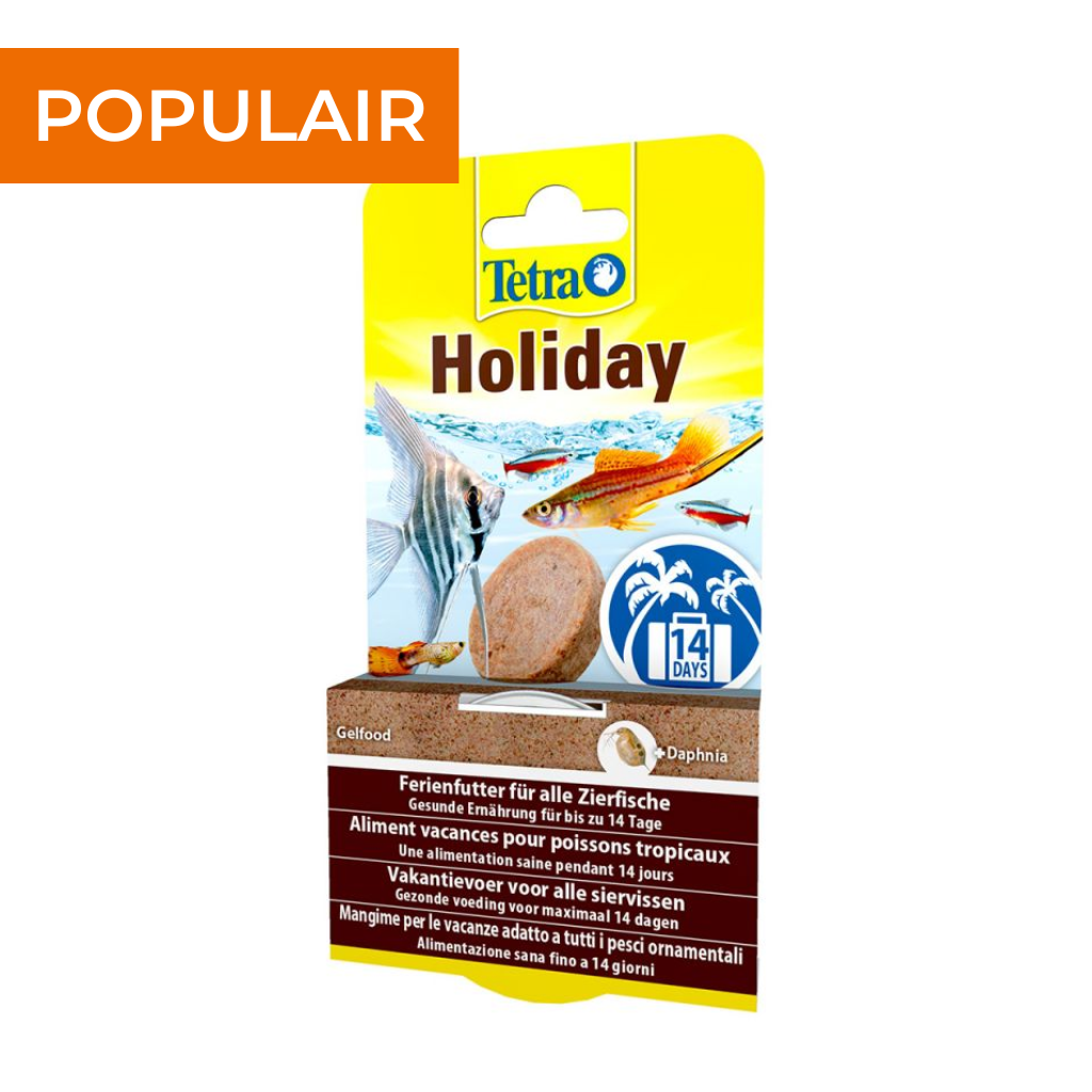 decoratiegrot 20% korting