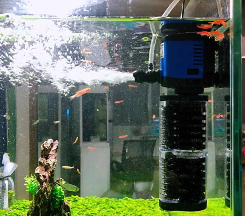 Aquarium filter, het verschil tussen leven en dood