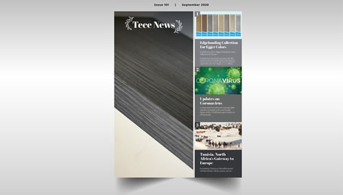 Download PDF version