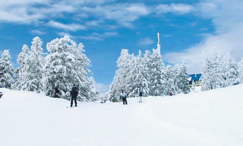 Uludag: The Great Mountain of Bursa