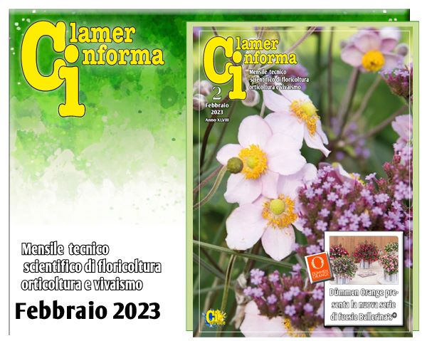 Clamer Informa Novembre 2022