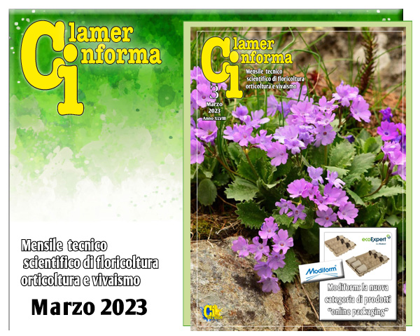 Clamer Informa Novembre 2022