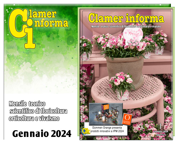 Clamer Informa Novembre 2022
