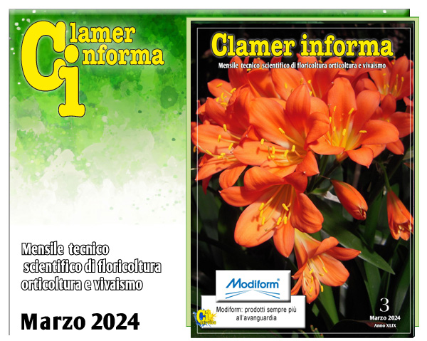 Clamer Informa Novembre 2022