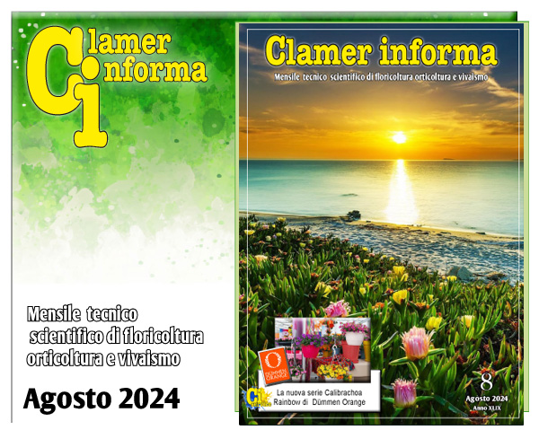 Clamer Informa Novembre 2022