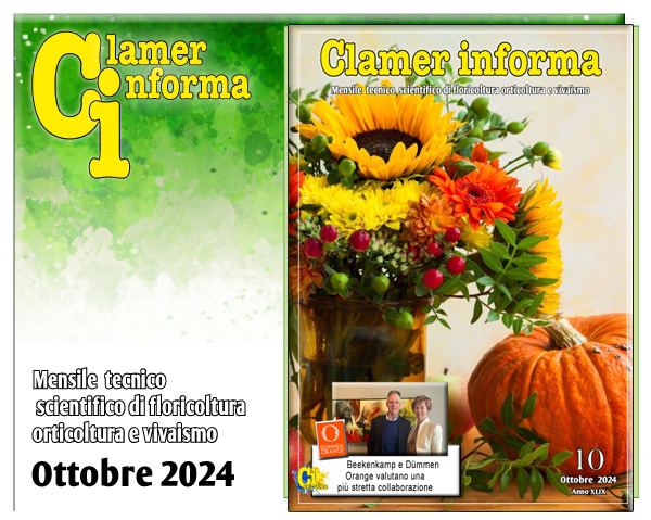 Clamer Informa Novembre 2022