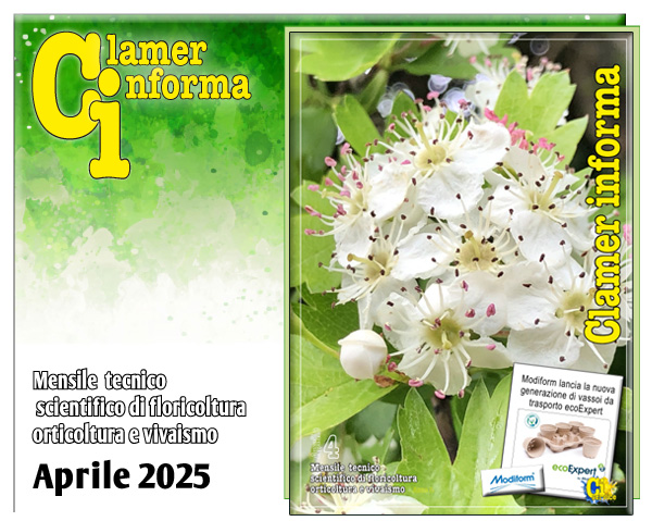 Clamer Informa Novembre 2022