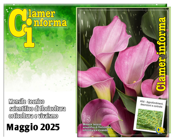 Clamer Informa Novembre 2022