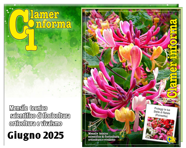 Clamer Informa Novembre 2022