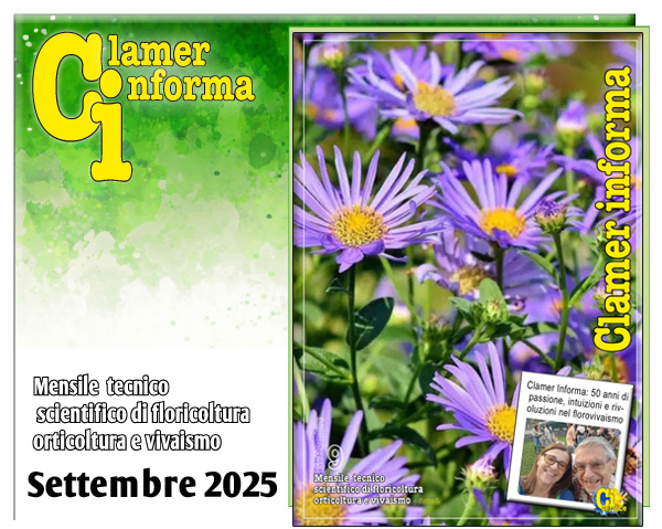 Clamer Informa Novembre 2022