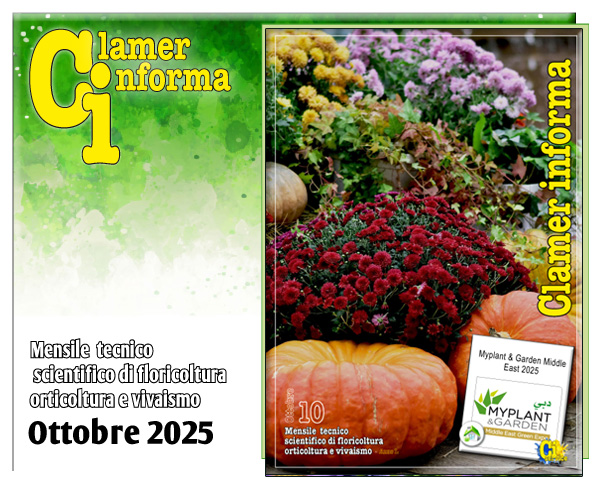 Clamer Informa Novembre 2022