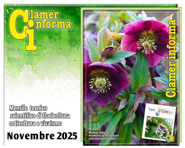 Clamer Informa Novembre 2022