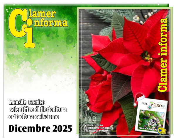 Clamer Informa Novembre 2022