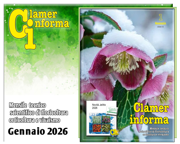 Clamer Informa Novembre 2022