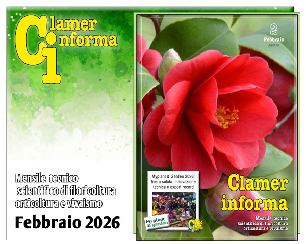 Clamer Informa Novembre 2022