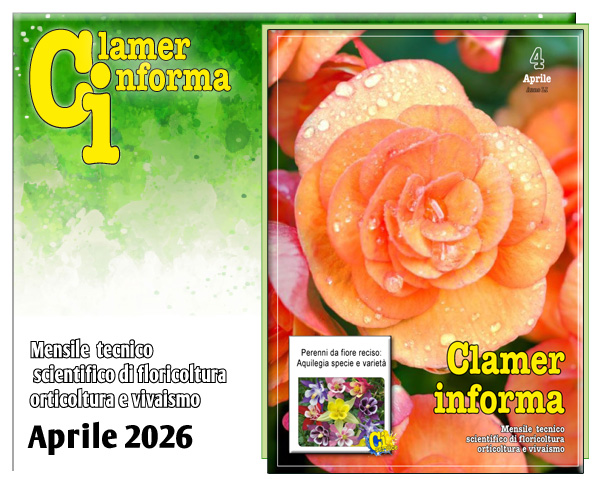 Clamer Informa Novembre 2022