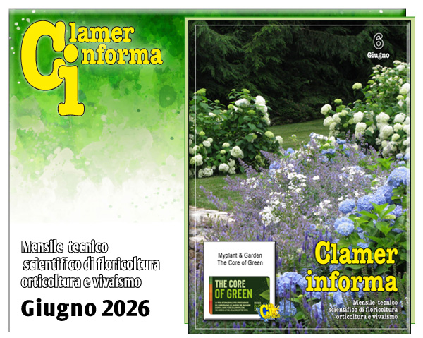 Clamer Informa Novembre 2022