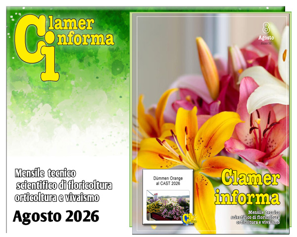Clamer Informa Novembre 2022