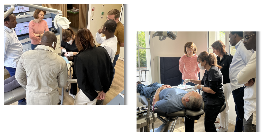 Ortho Partner