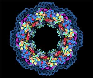 Artificial intelligence powers protein-folding predictions