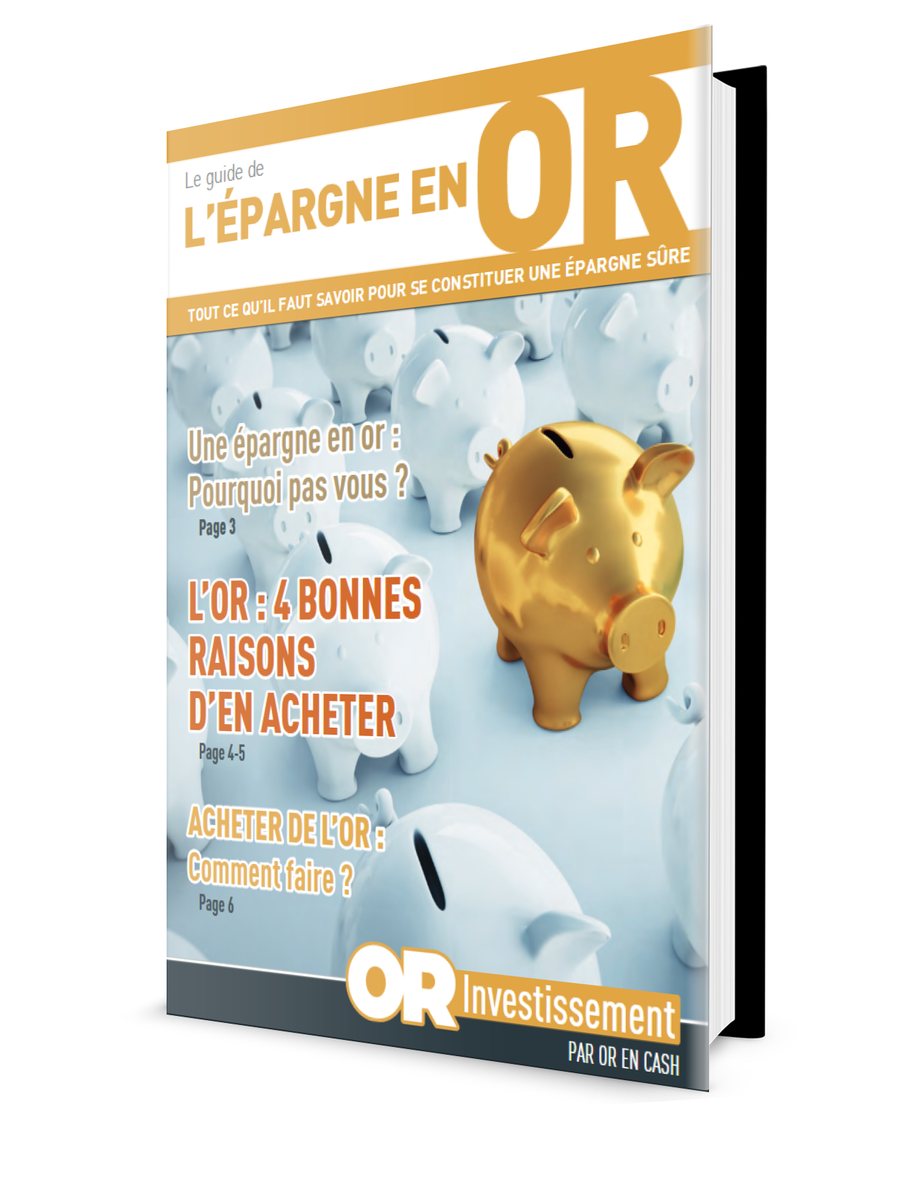 guide complet or investissement