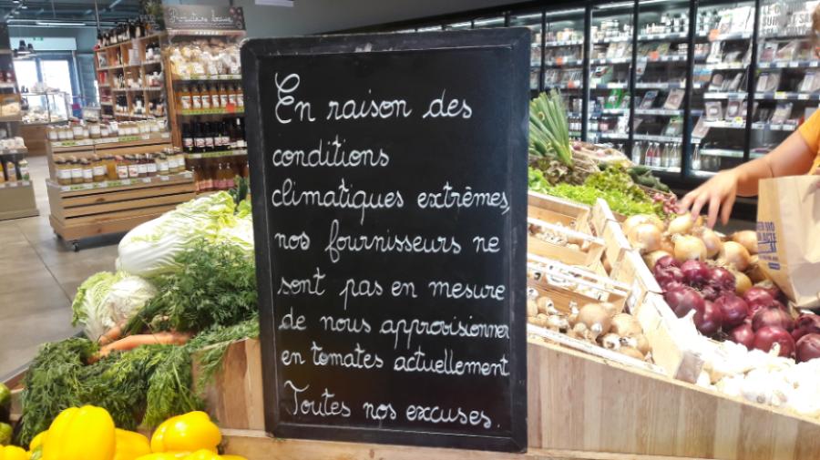 Message information indisponibilité des tomates en raisons des conditions climatiques extrêmes