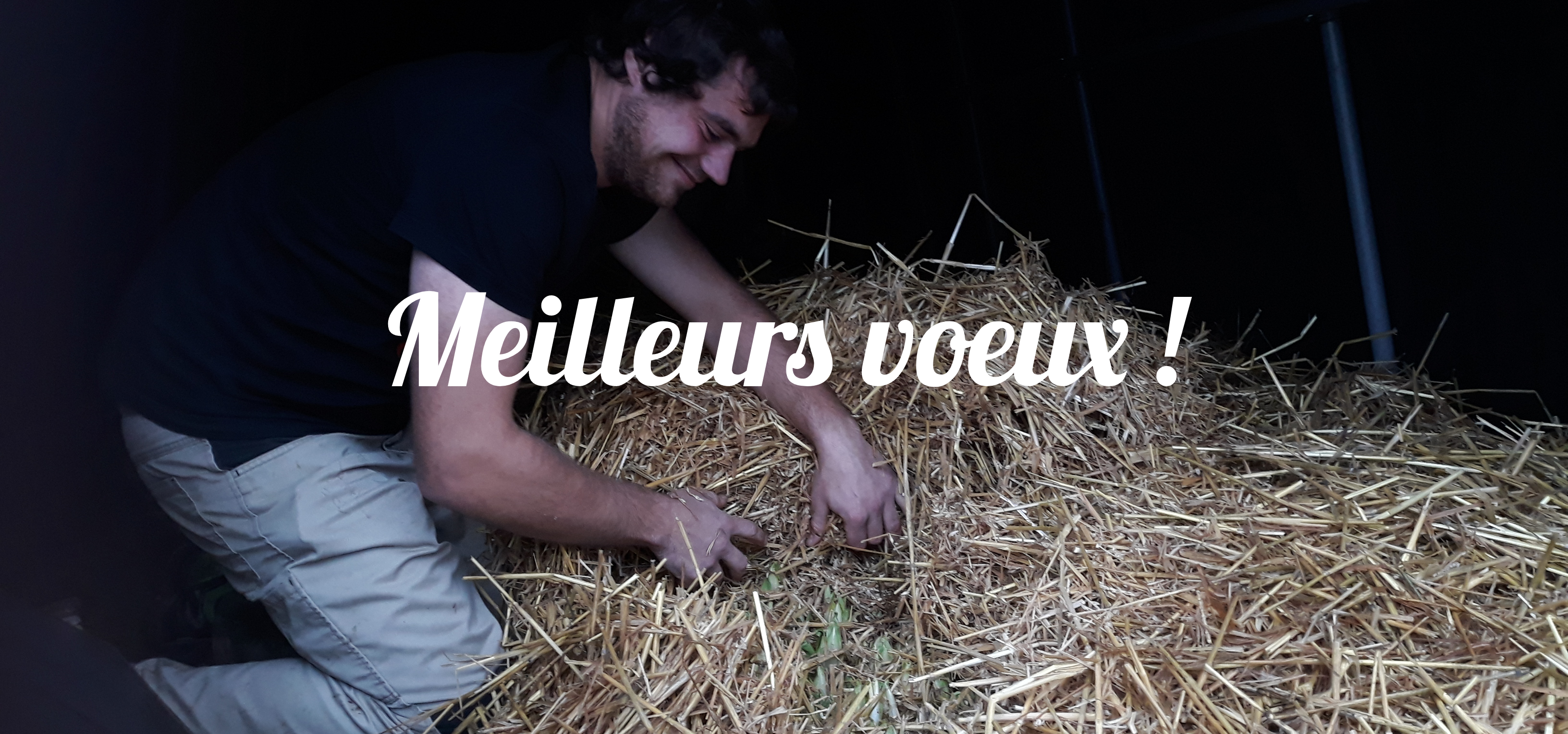 Joyeux 2020 : des agrumes, des pommes et 25 producteurs !