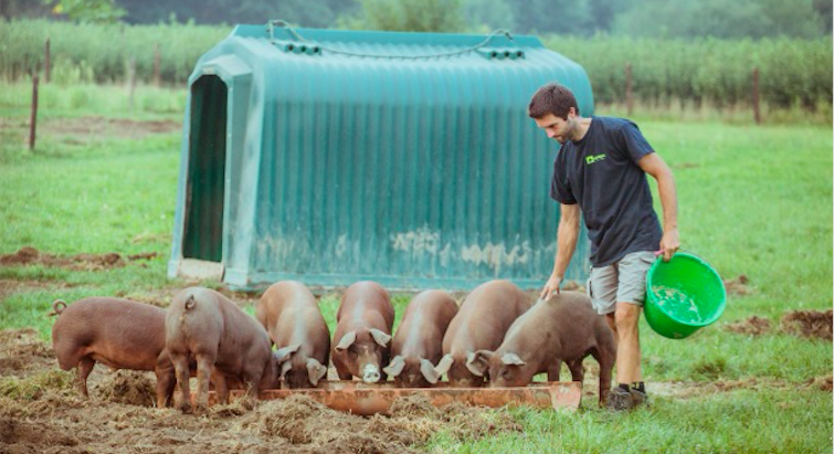 Jeudi 12 mars : du porc, verdure et crème fraiche !