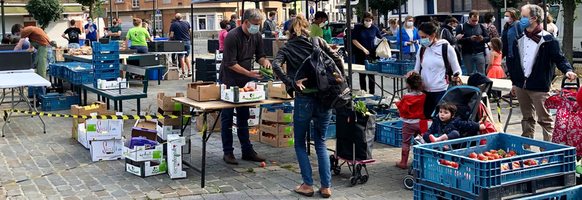 Jeudi 16 : tomates, aubergines et tout le reste !