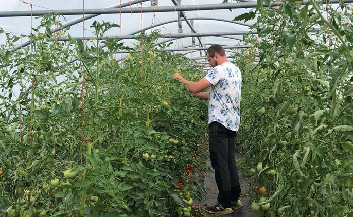 🍅🍅🍅 Je déclare la saison des TOMATES ouverte !!! 🍅🍅🍅