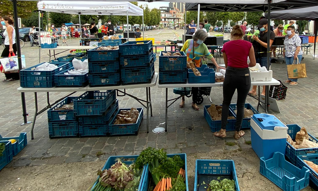 Jeudi 13 août : Retour de BioTop et toujours des tomates !