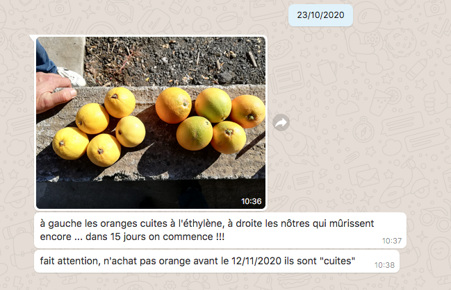 La saison des ORANGES et CLEMENTINES est OUVERTE !!!