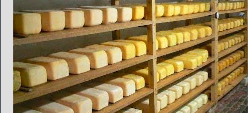 26/11 : ce mail sent le fromage ! Comté & réchauffement climatique