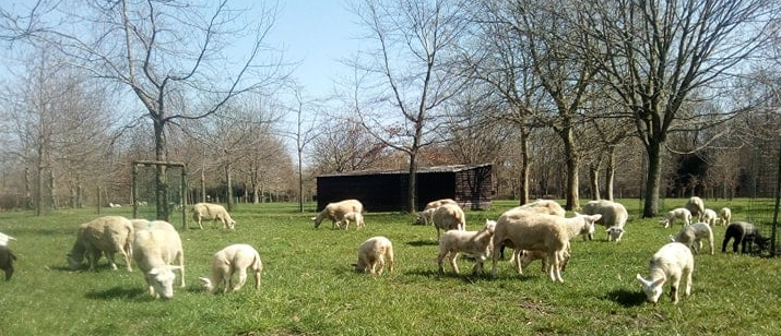 8/04 : Ah oui, c'est le printemps !
