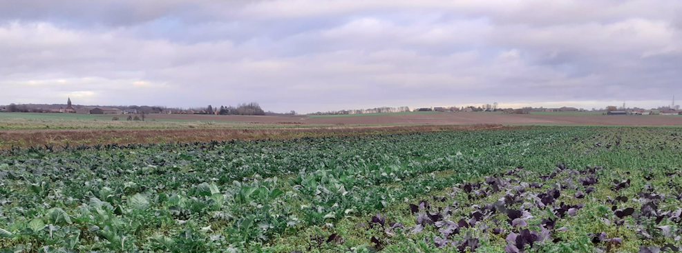 02/03 : 45 producteurs pour vous servir !