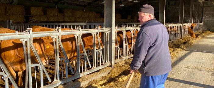 Jeudi 27/01 : un nouveau producteur de boeuf en offre