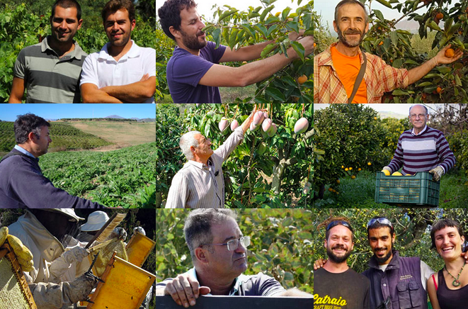 19/10 : clémentines, raisins et fruits du sud