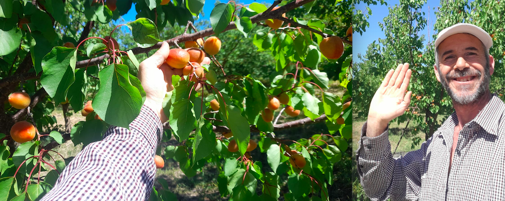 *MERCREDI* 08/05 : le printemps ?! Abricots, pêches, fraises