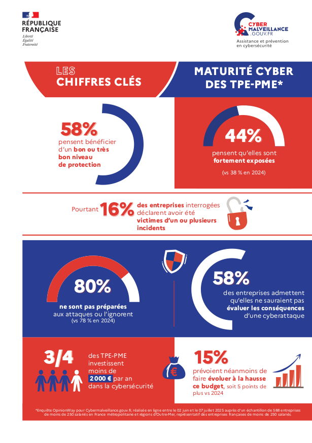 Maturité cyber TPE-PME
