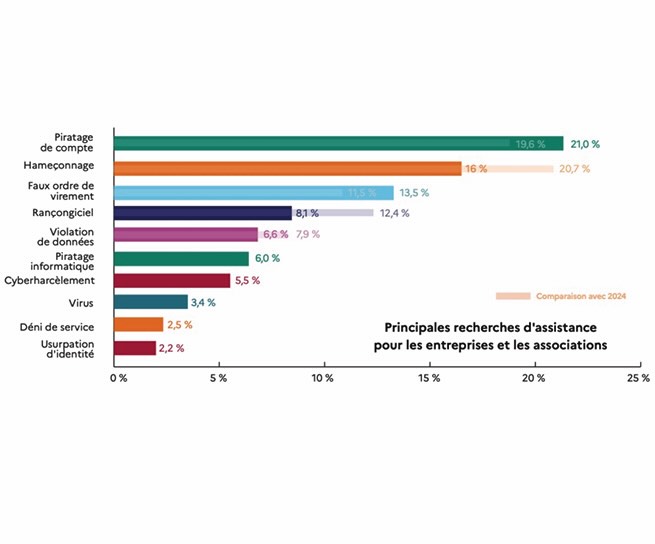Top 10 des cybermalveillances pour les professionnels