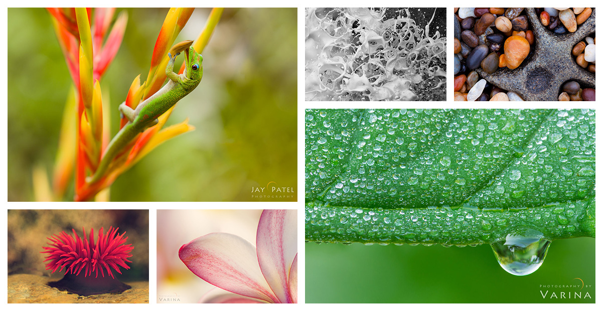 Photoshop skills Landscape Photographers should know