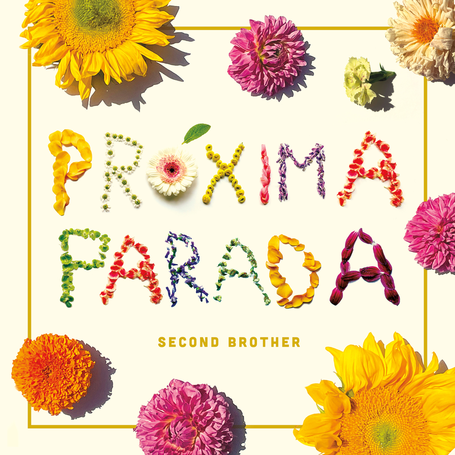 Proxima Parada for Alternative NMF