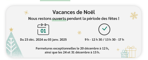 Vacances de Noël