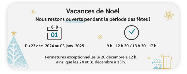 Vacances de Noël